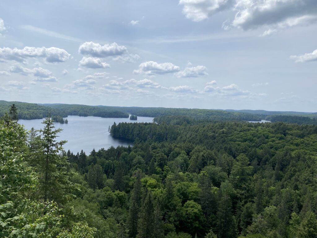 track and tower trail